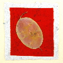 honesty handmade cards
